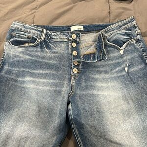 “Vervet” Los Angeles distressed, button fly jeans size 20